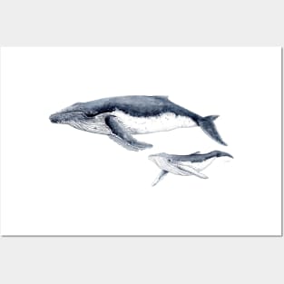 Humpback whale mother and baby Posters and Art